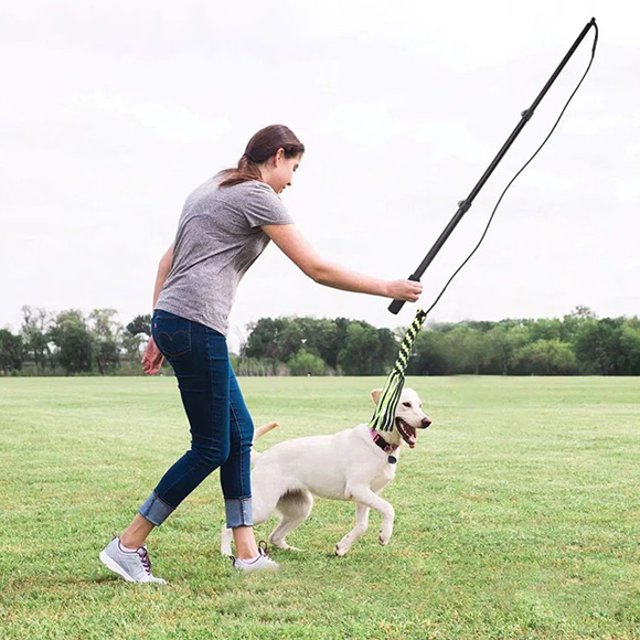 Poteau télescopique interactif pour animaux de compagnie