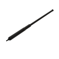 Poignée télescopique pour récupération de balle de golf